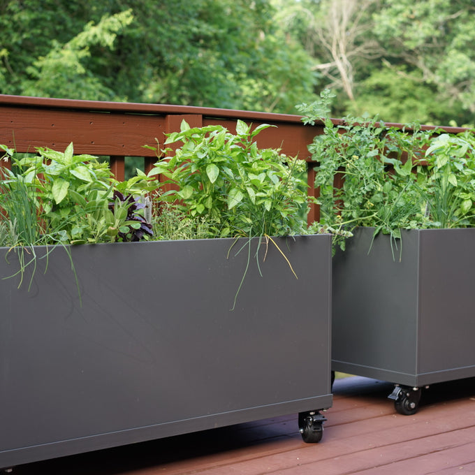 Aluminum Raised Bed on Wheels