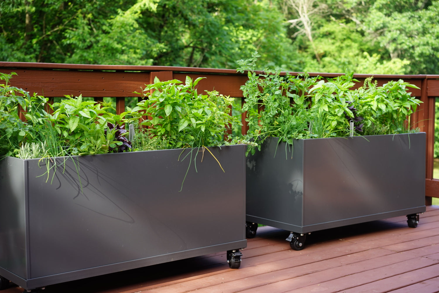Aluminum Raised Bed (Optional Casters or Tray)