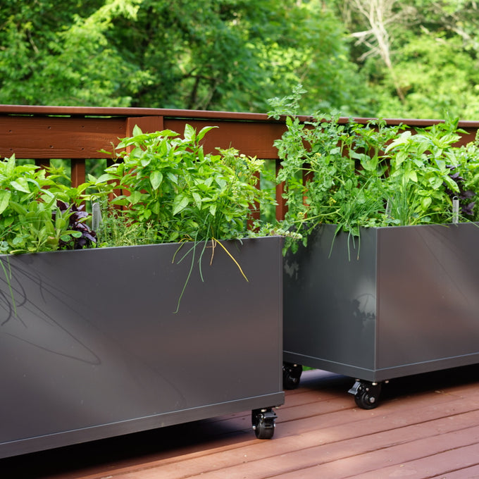Aluminum Raised Bed on Wheels