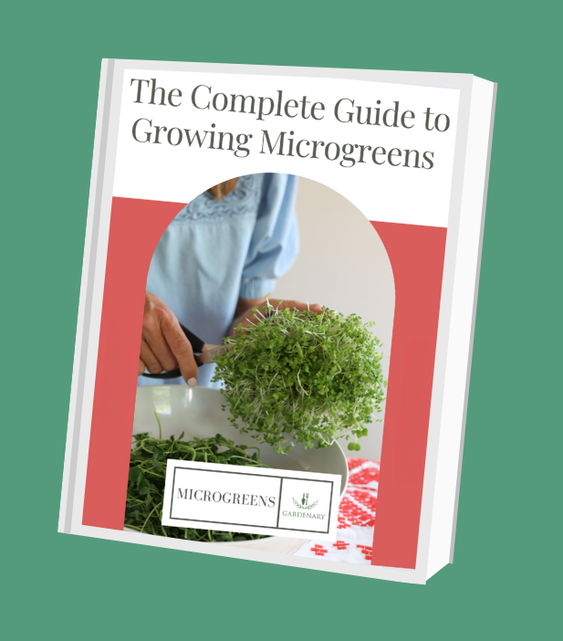 Complete Guide to Growing Microgreens