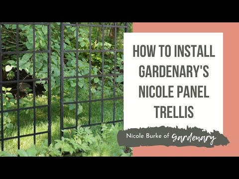 Nicole Panel Trellis