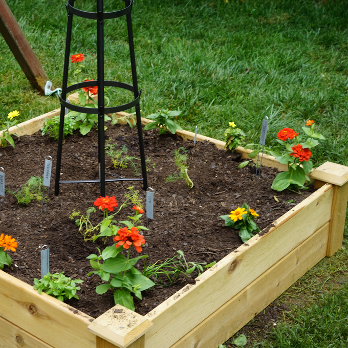 Kids' Kitchen Garden & Trellis Bundle