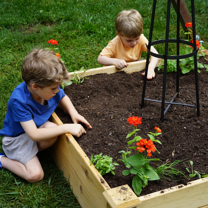 Kids' Kitchen Garden & Trellis Bundle