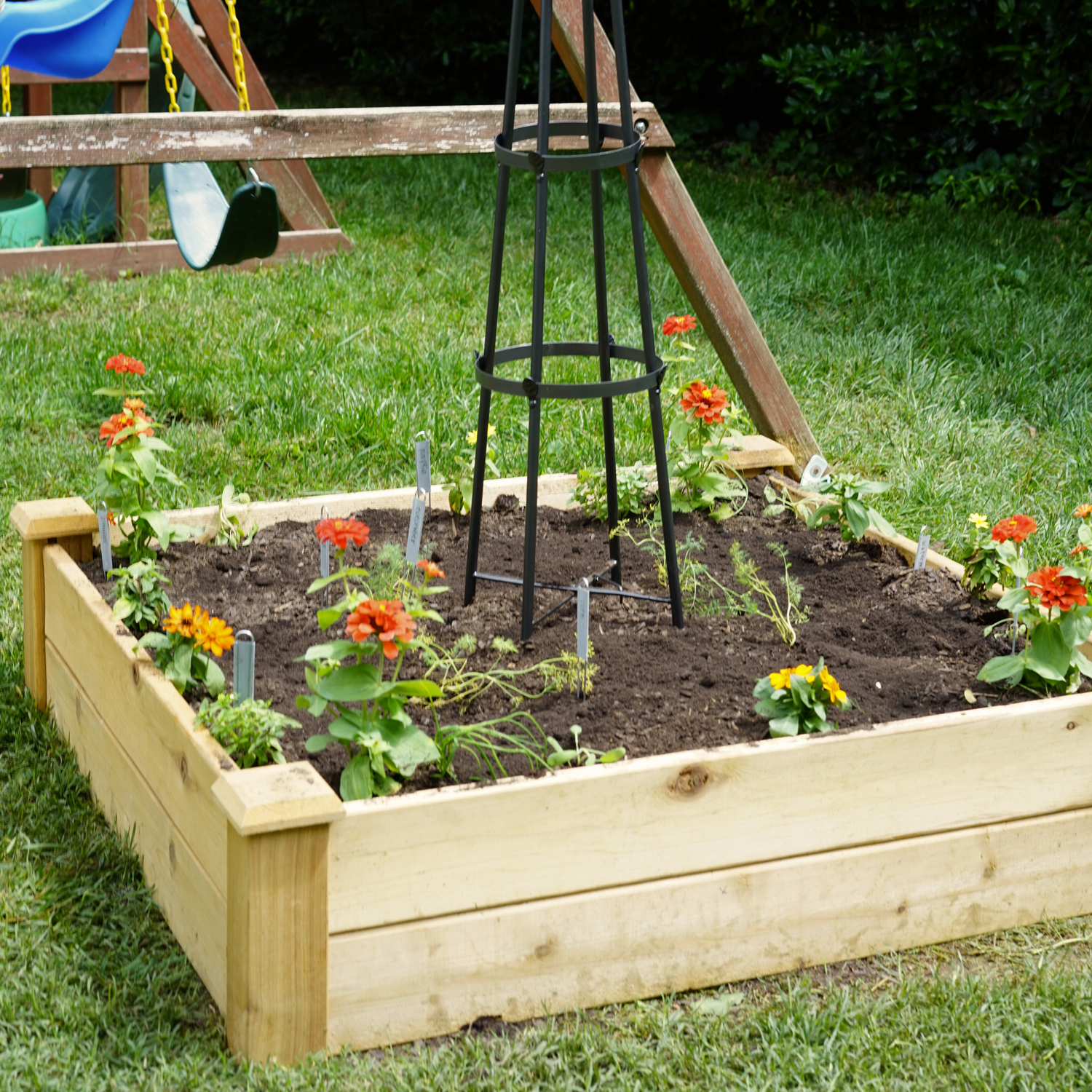 Kids' Kitchen Garden Bundle