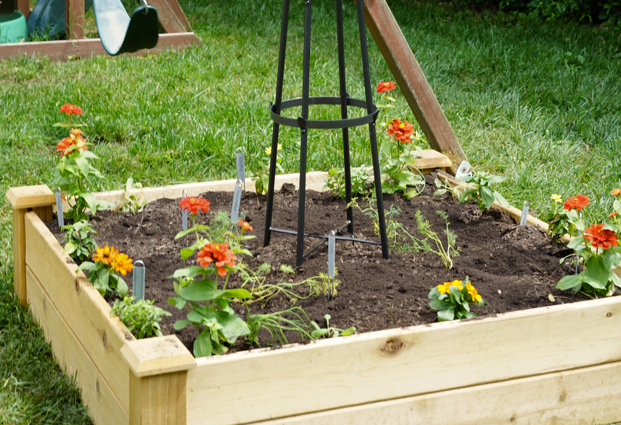 Kids' Kitchen Garden & Trellis Bundle