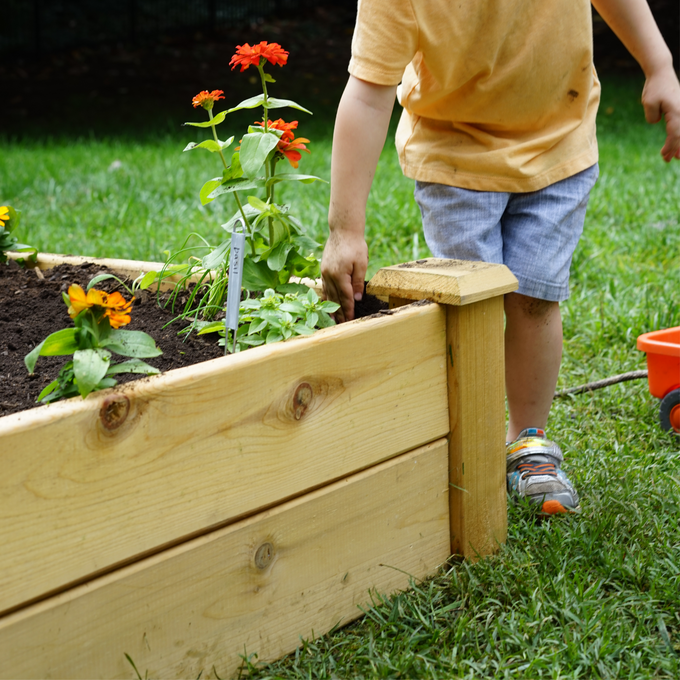 Kids' Kitchen Garden & Trellis Bundle