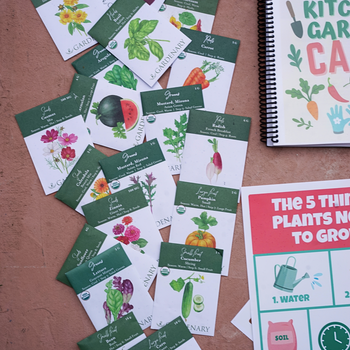 My First Garden Seed Collection