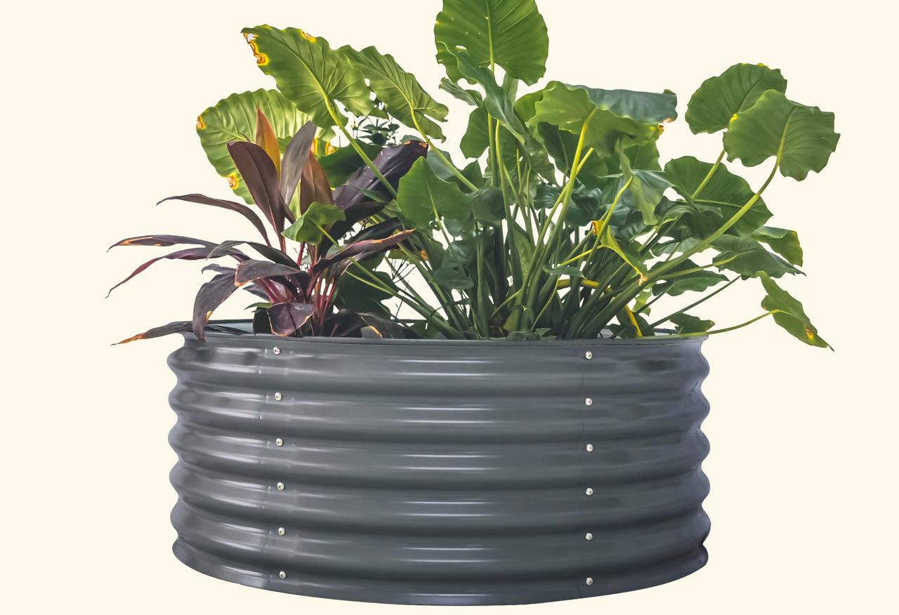 Wide Round Metal Raised Garden Bed Kit 17" Tall 42"