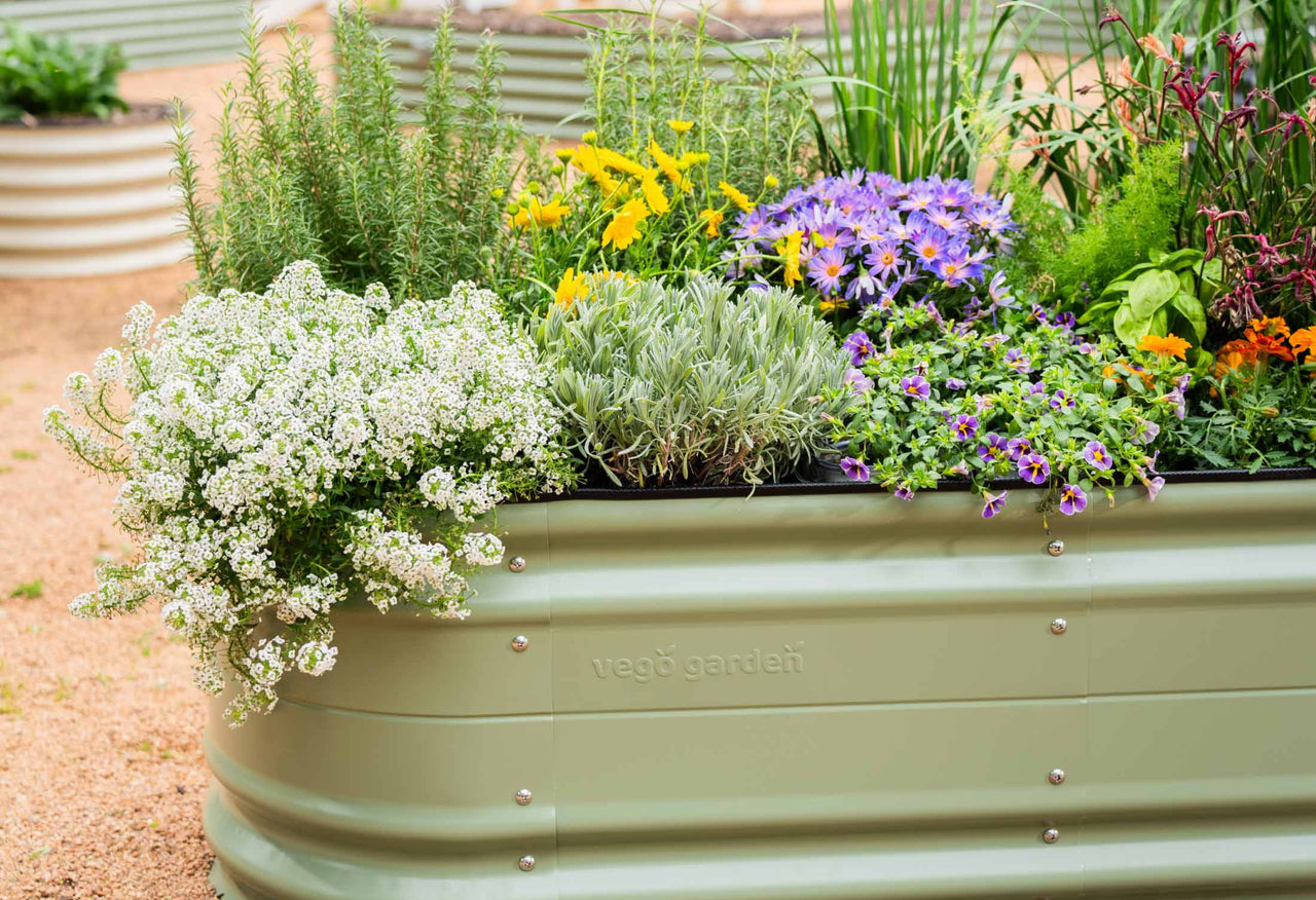 Medium Novel Modular Metal Raised Garden Bed Kit 17" Tall 6 In 1