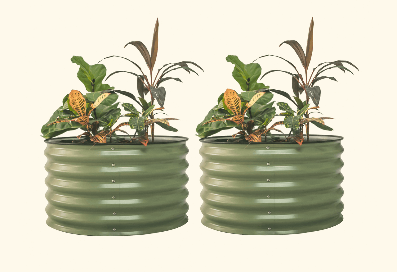 17" Tall Berry Garden Bed 30" Wide - Twin Pack