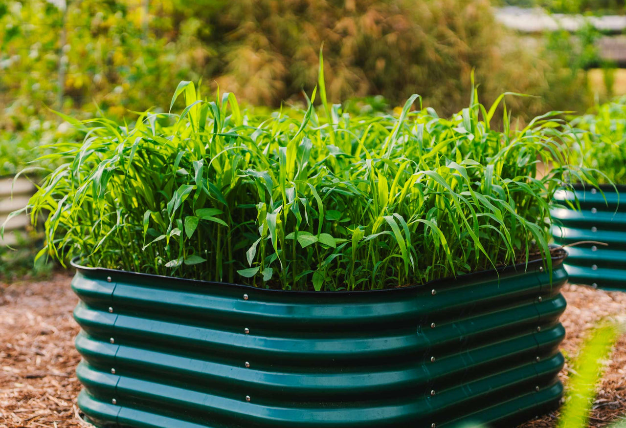 17" Tall 4 In 1 Small Modular Metal Raised Garden Bed Kit