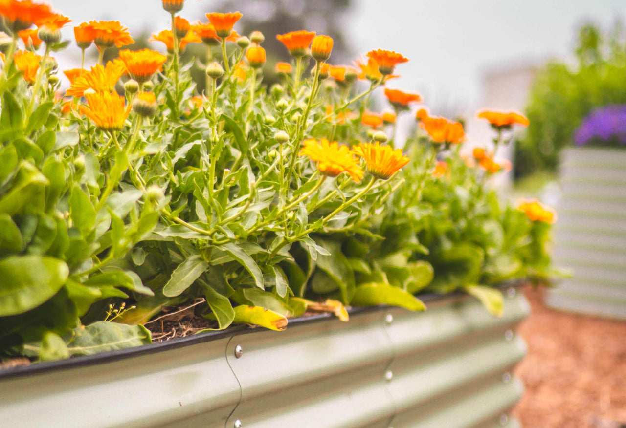 17" Tall 4 In 1 Small Modular Metal Raised Garden Bed Kit