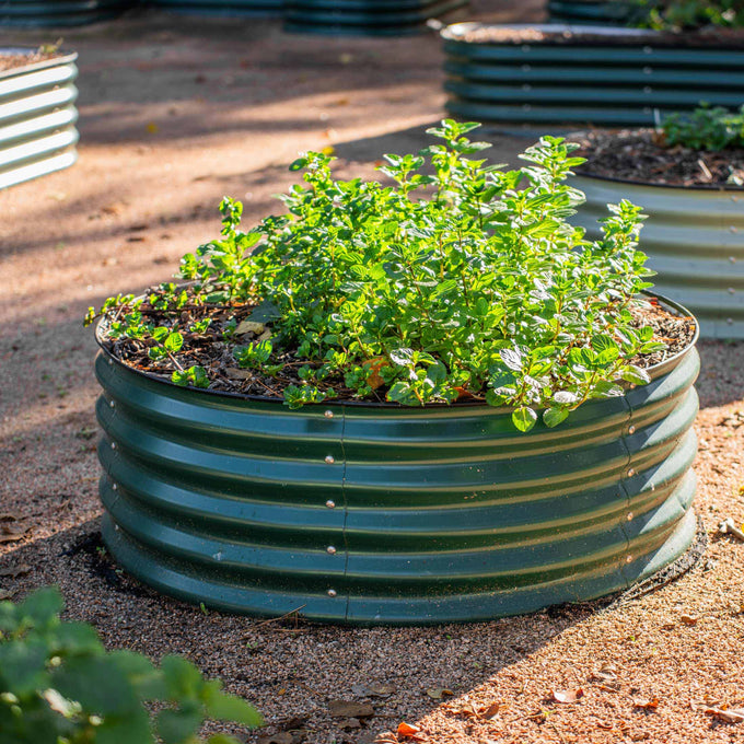 Wide Round Metal Raised Garden Bed Kit 17" Tall 42"