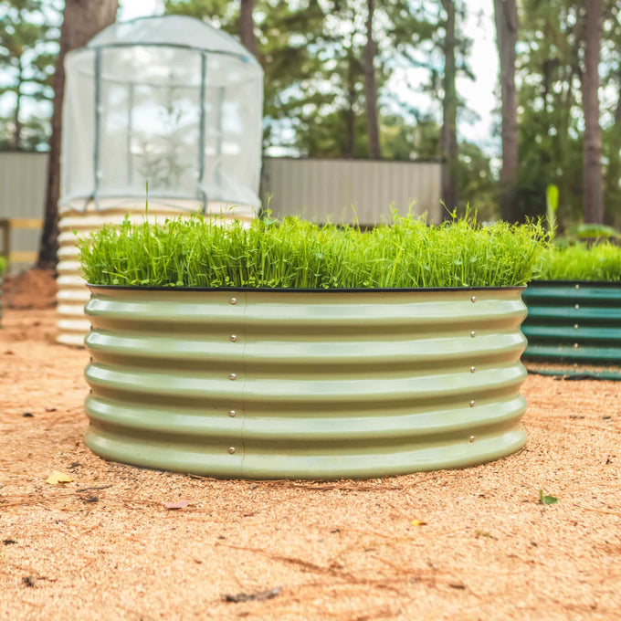 Wide Round Metal Raised Garden Bed Kit 17" Tall 42"