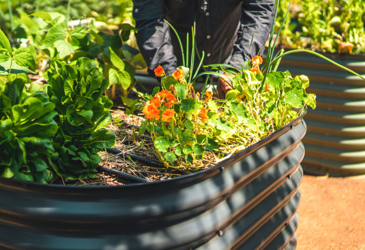 Small Modular Metal Raised Garden Bed Kit 32" Extra Tall 4 In 1