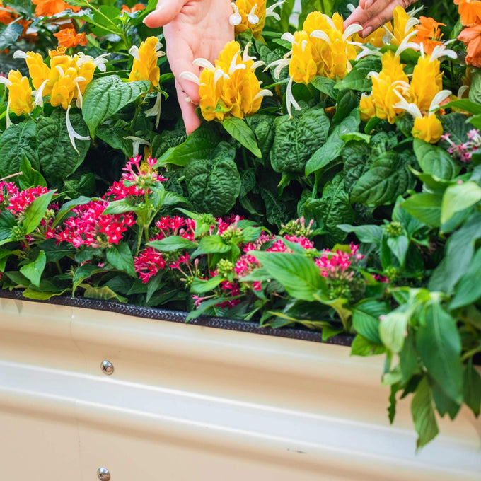 Large Novel Modular Metal Raised Garden Bed Kit 32" Tall 9 In 1