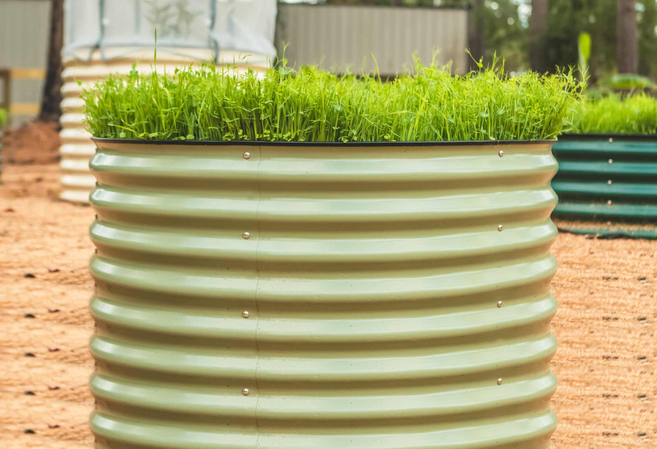 32" Extra Tall 42" Wide Round Metal Raised Garden Bed Kit