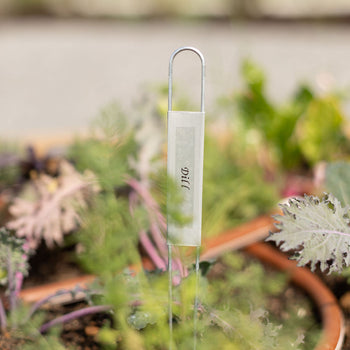 Zinc 12" Hairpin-Style Plant Label