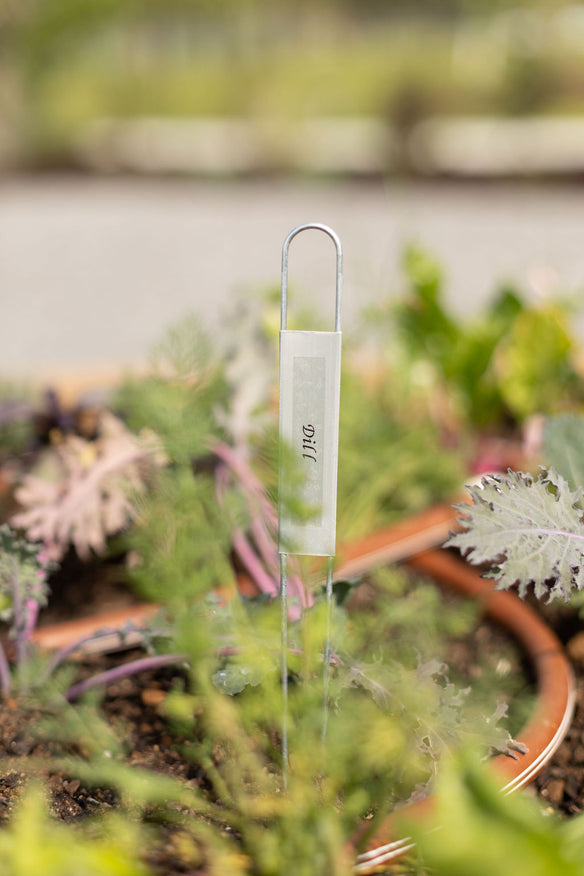 Zinc 12" Hairpin-Style Plant Label