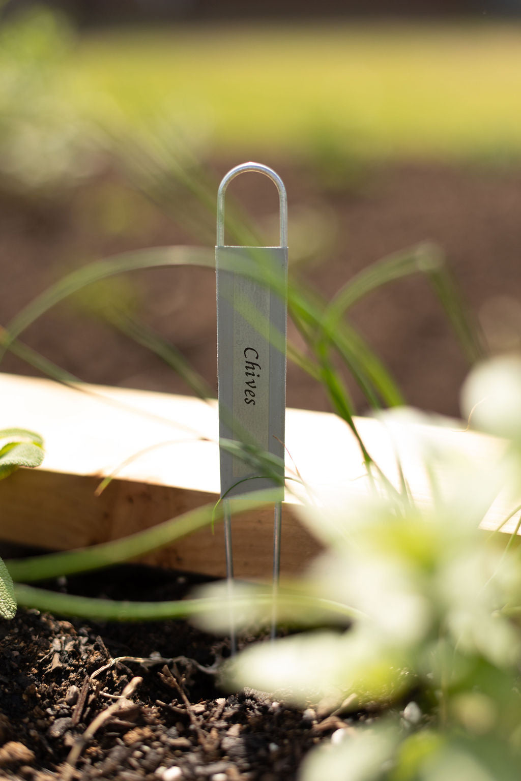 Zinc Hairpin Plant Labels (12”)