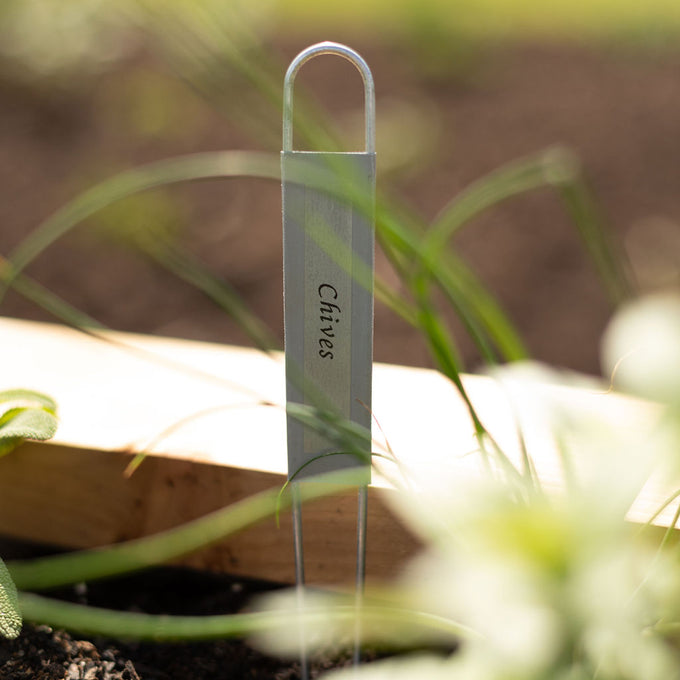 Zinc 12" Hairpin-Style Plant Label