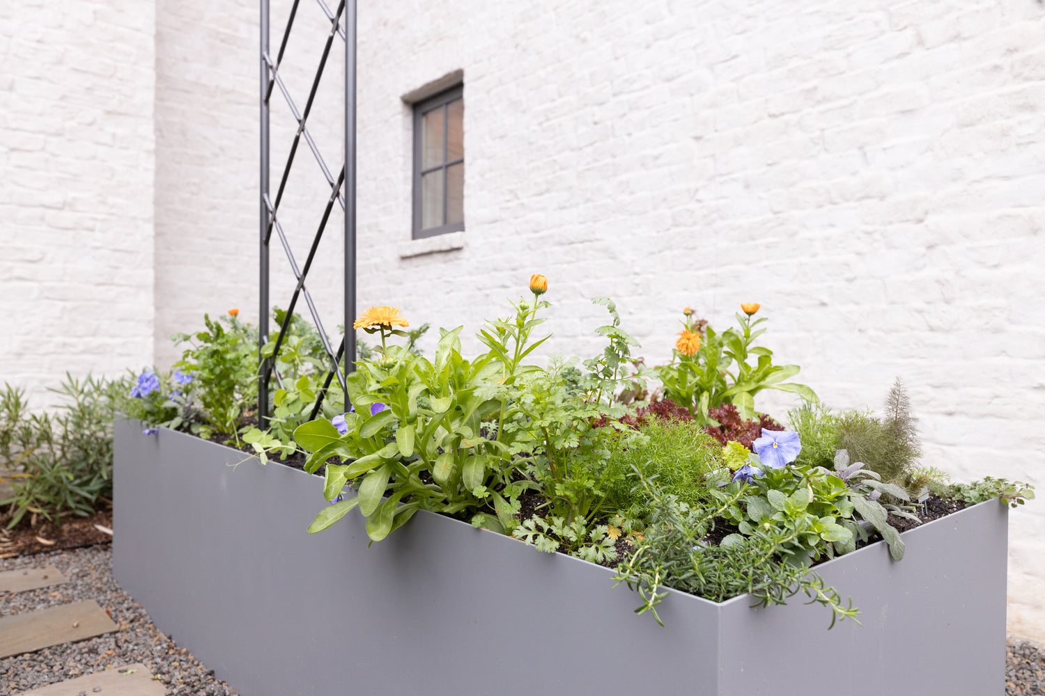 Lattice Arch Trellis