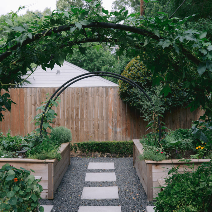 Modern Arch Trellis
