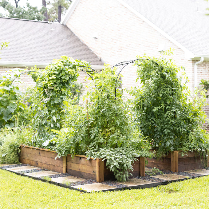 Traditional Diamond Rounded Arch Trellis
