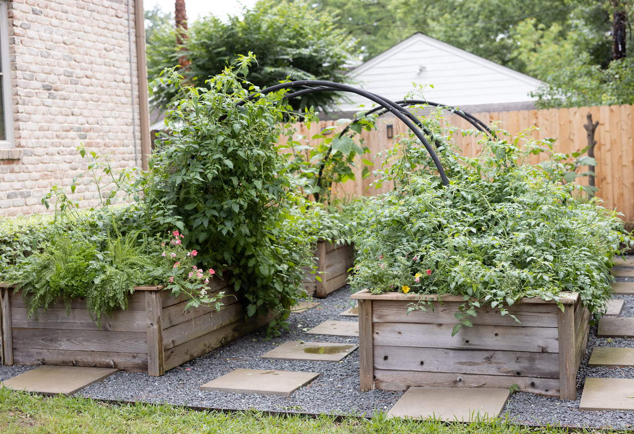 Modern Arch Trellis