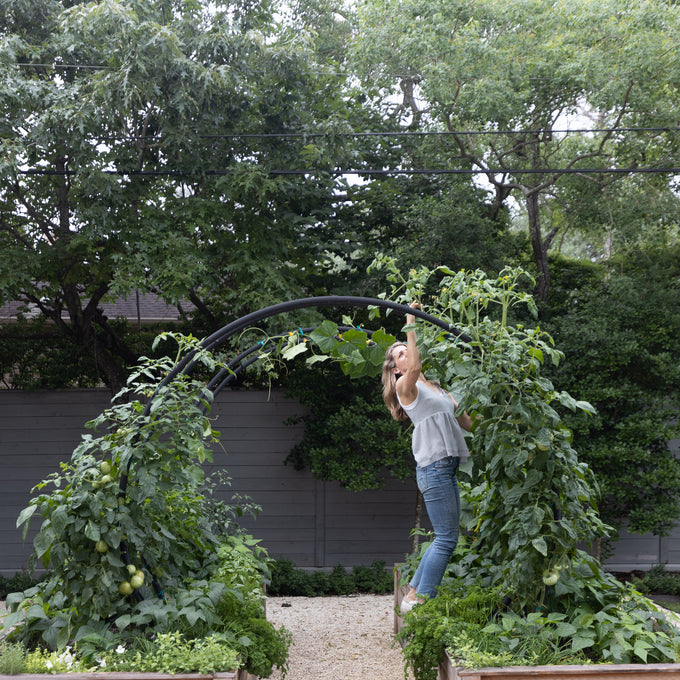 Modern Arch Trellis