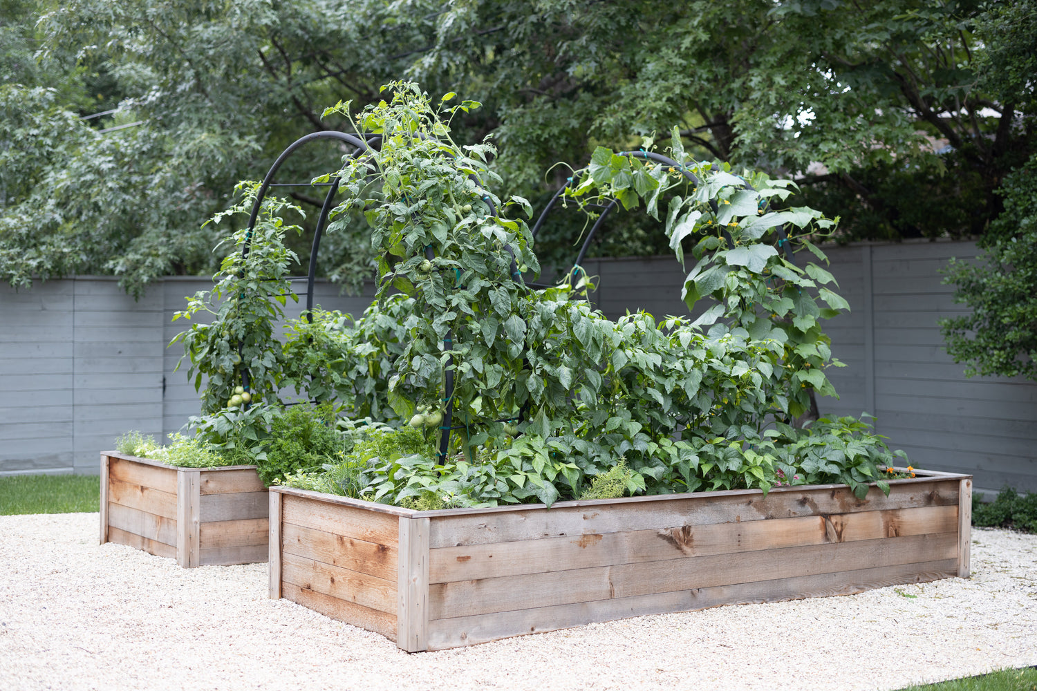 Modern Arch Trellis