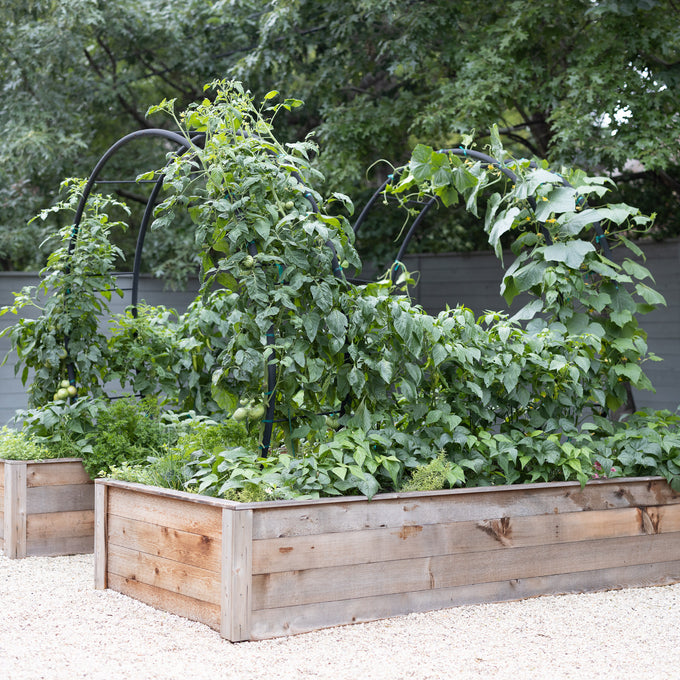 Modern Arch Trellis