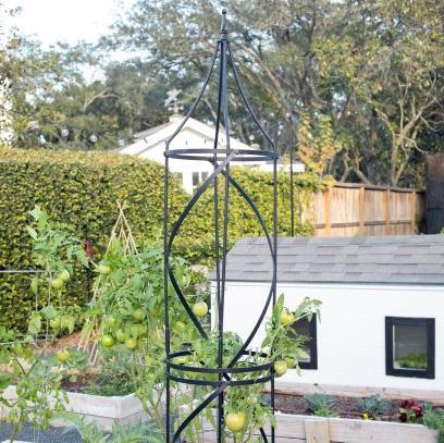 garden trellis for climbing plants Border Tuteur Trellis – Gardenary Shop