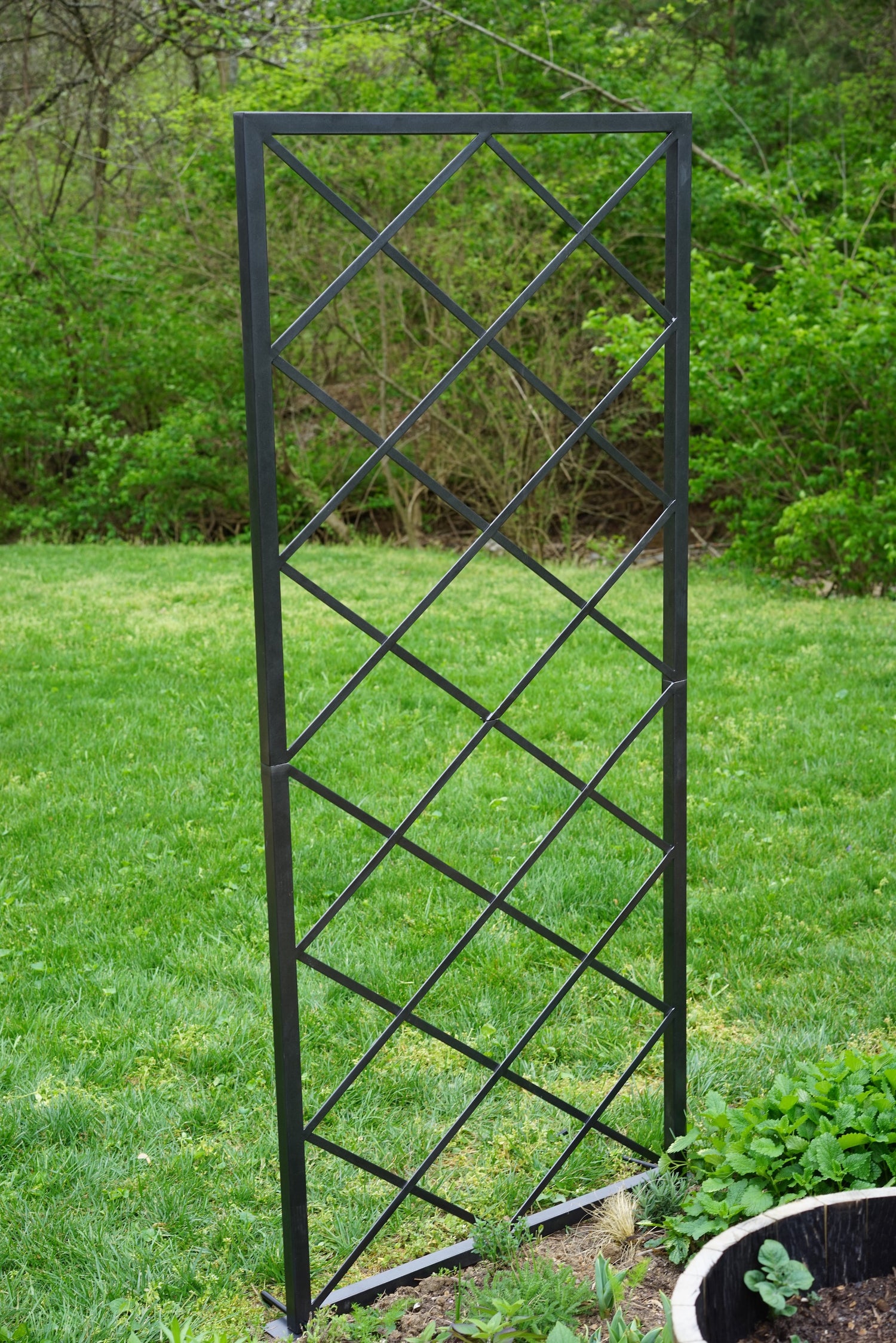 Diamond Panel Trellis