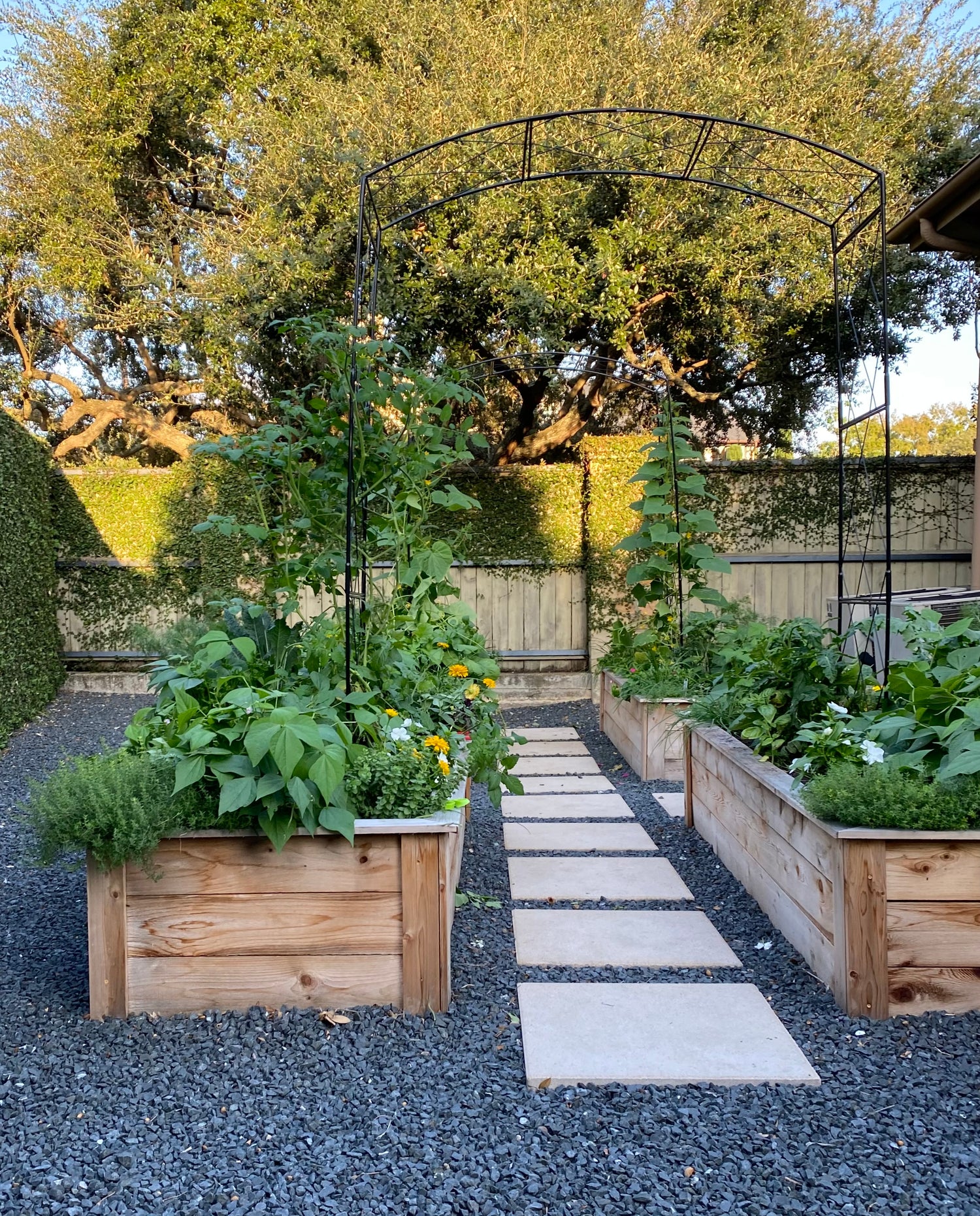 Paris Arch Trellis