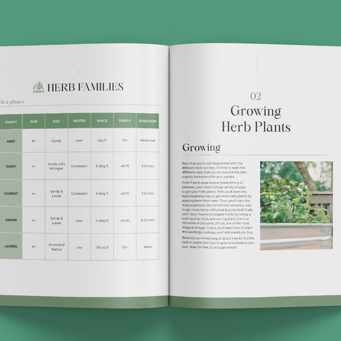 The Herb Garden Guidebook Ebook