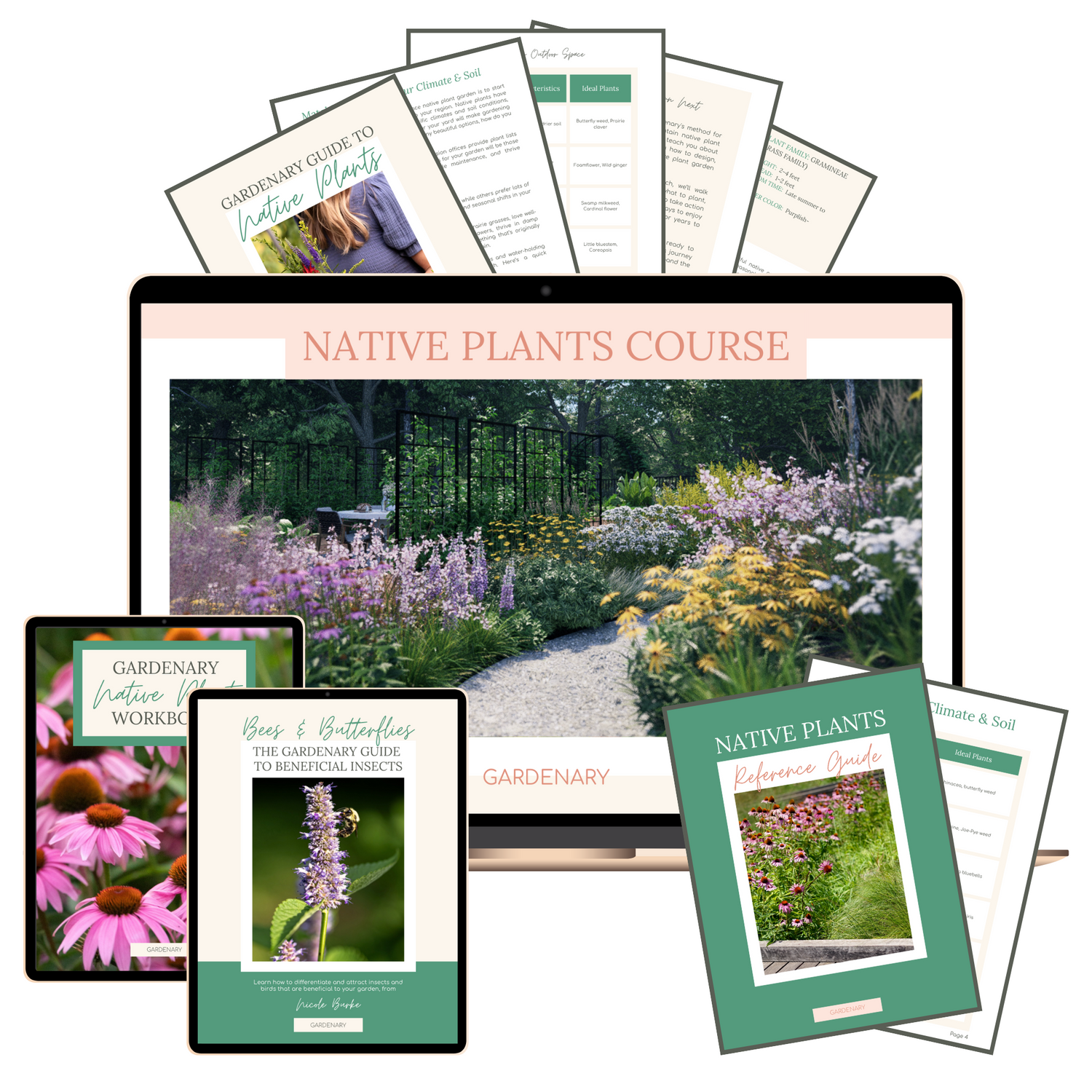 Courses and E-Books