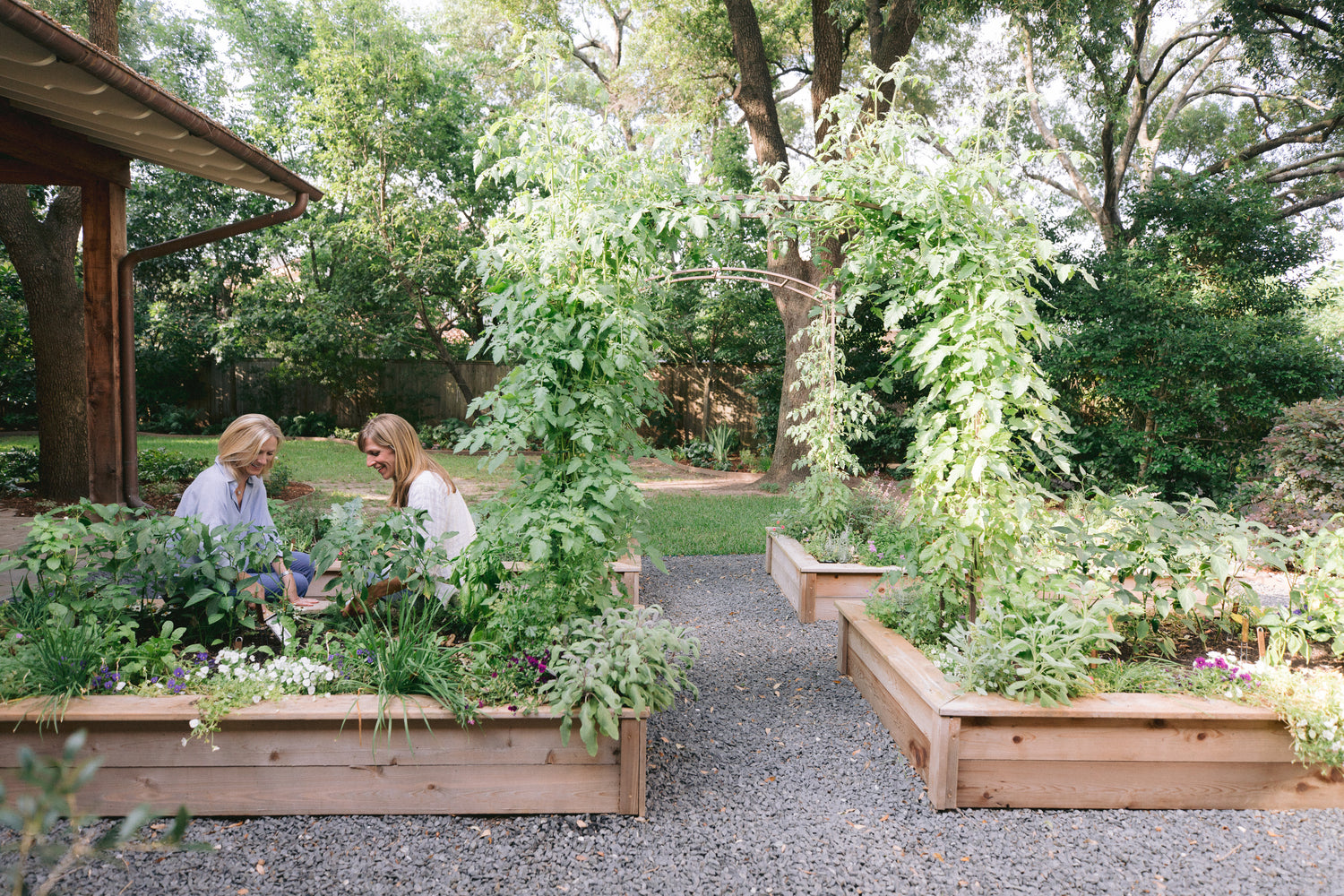 Complete Kitchen Garden Packages