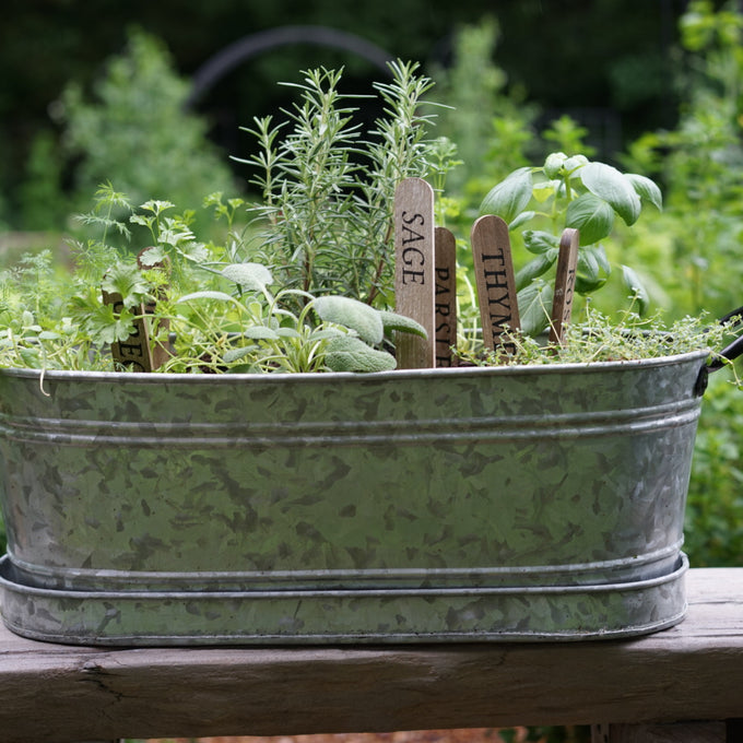 Herb Container Garden