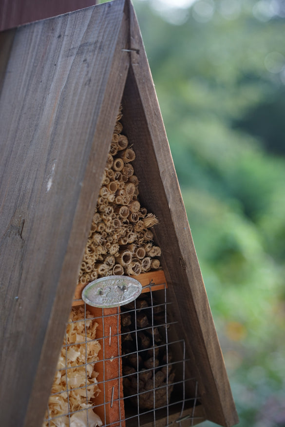 Natural Insect Hotel