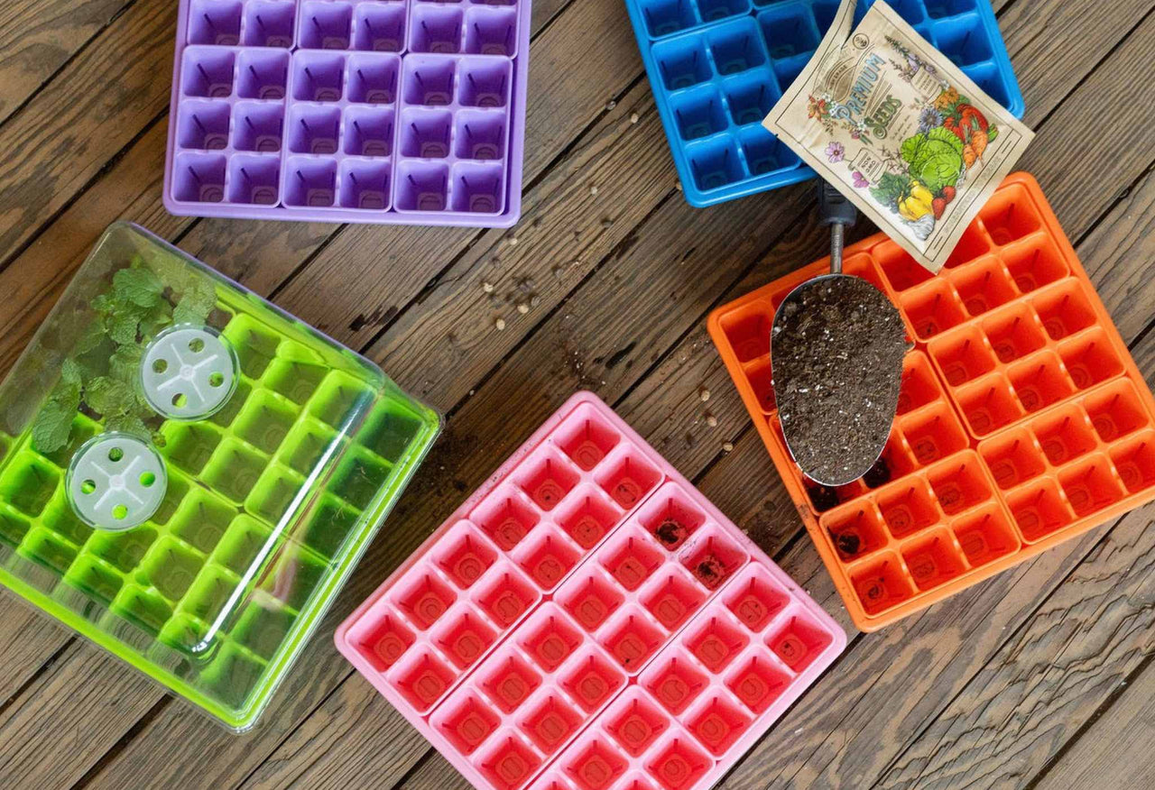 1010 Seed Starter Kit