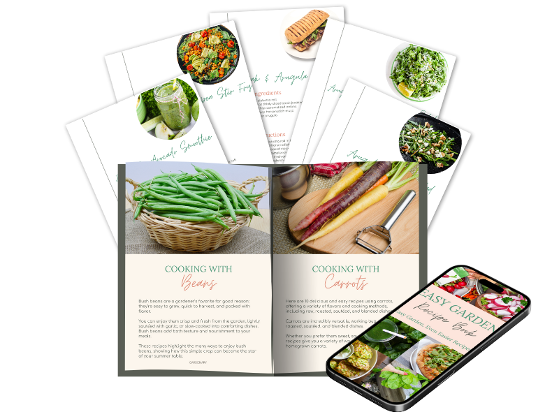 Easy Garden School