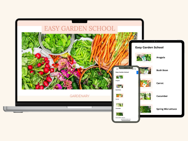 Easy Garden School