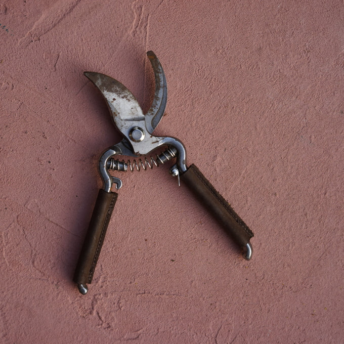 Bypass Pruner with Leather Handle