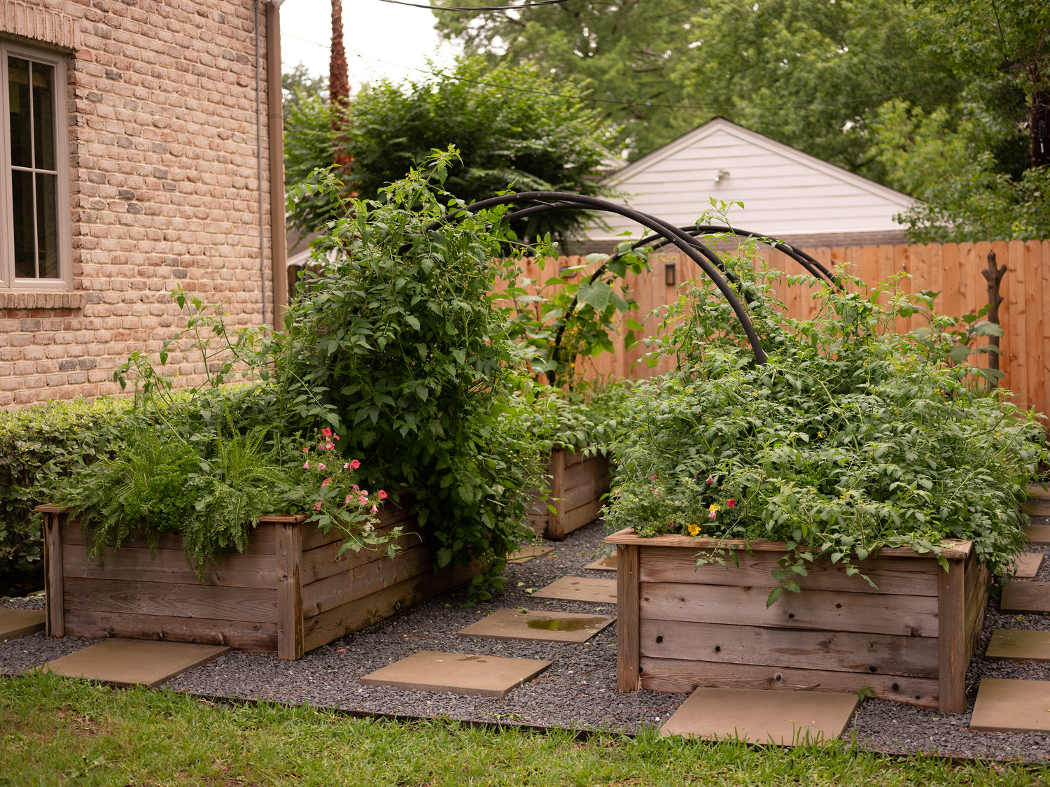 Marnie Kitchen Garden for KGA