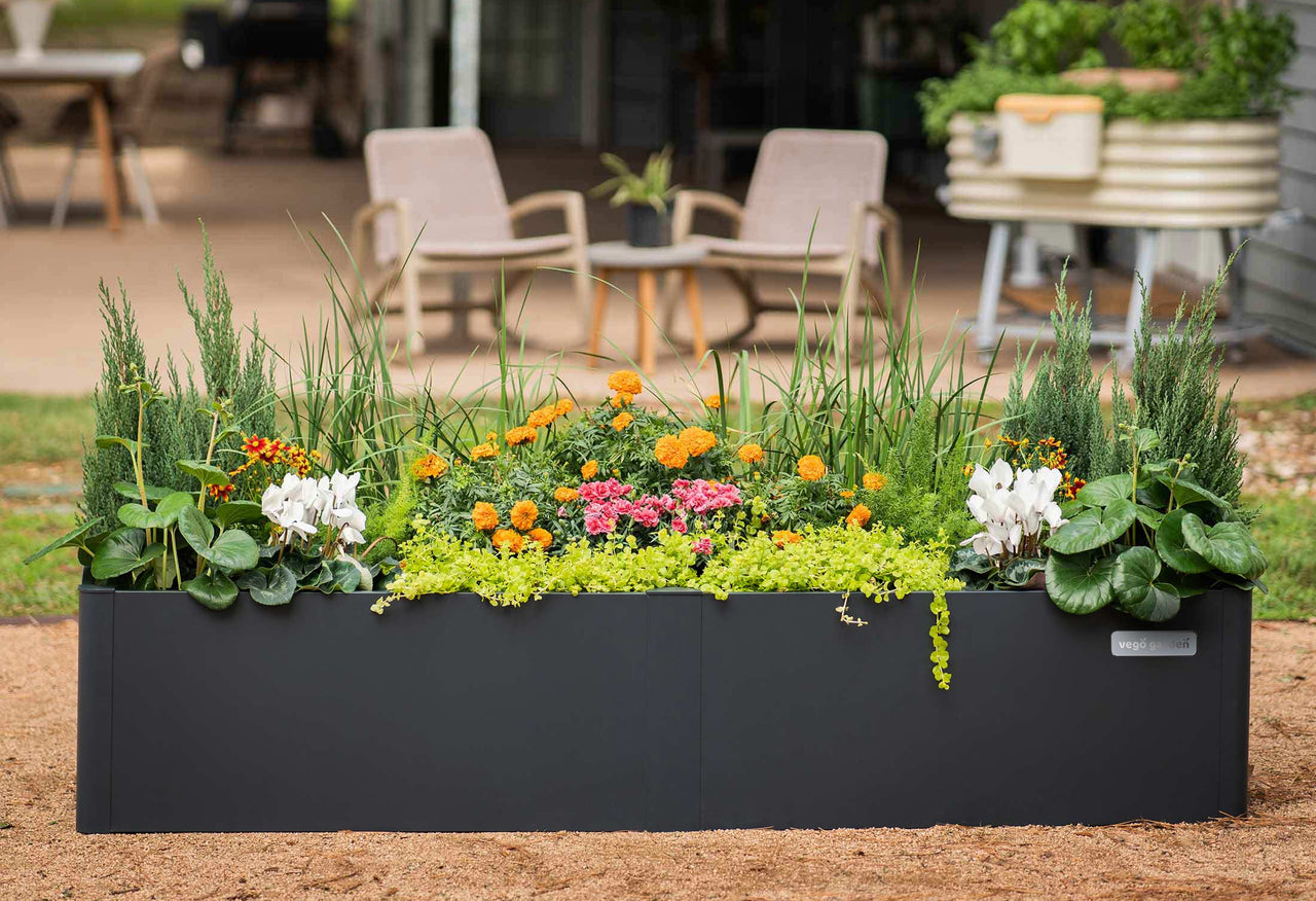 Modern Metal Raised Garden Bed 42" L x 42" W x 17"H