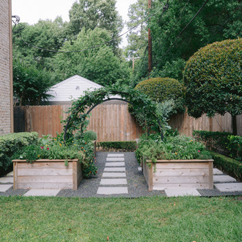Four Cedar Raised Bed Gardens and Two Modern Arch Trellises Package