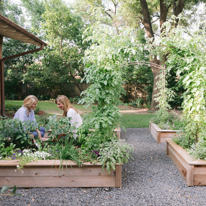 The Amy Kitchen Garden Package: Four 4' x 8' x 1' Cedar Raised Bed Kitchen Garden Package with Two Paris Arch Trellises