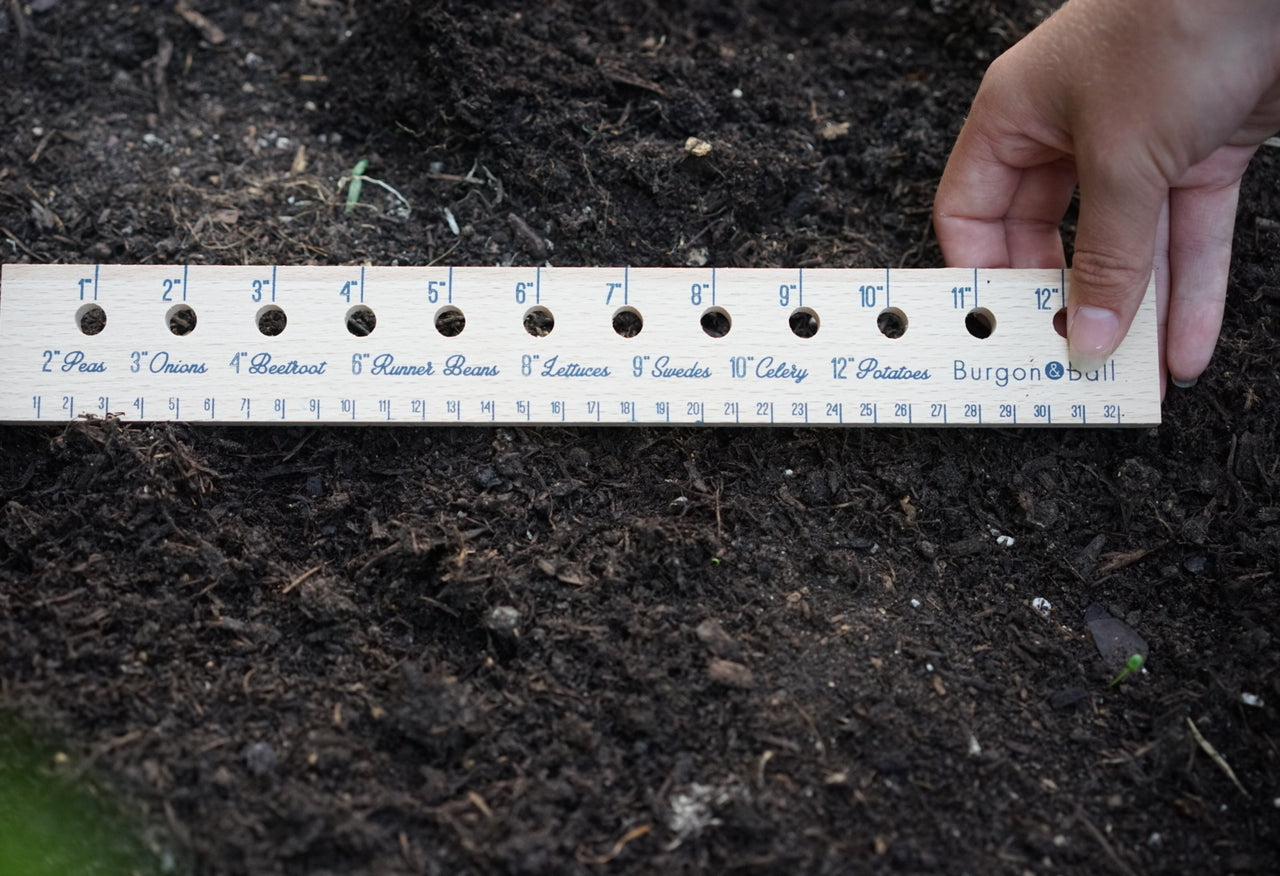 Personalised Vegetable Seed & Plant Spacing Ruler gardening gift 33cm long