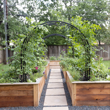 The Kelly Kitchen Garden Package: Four Cedar 4' x 8' x 2' Raised Bed Kitchen Garden Package and Two Nicole Arch Trellises Package